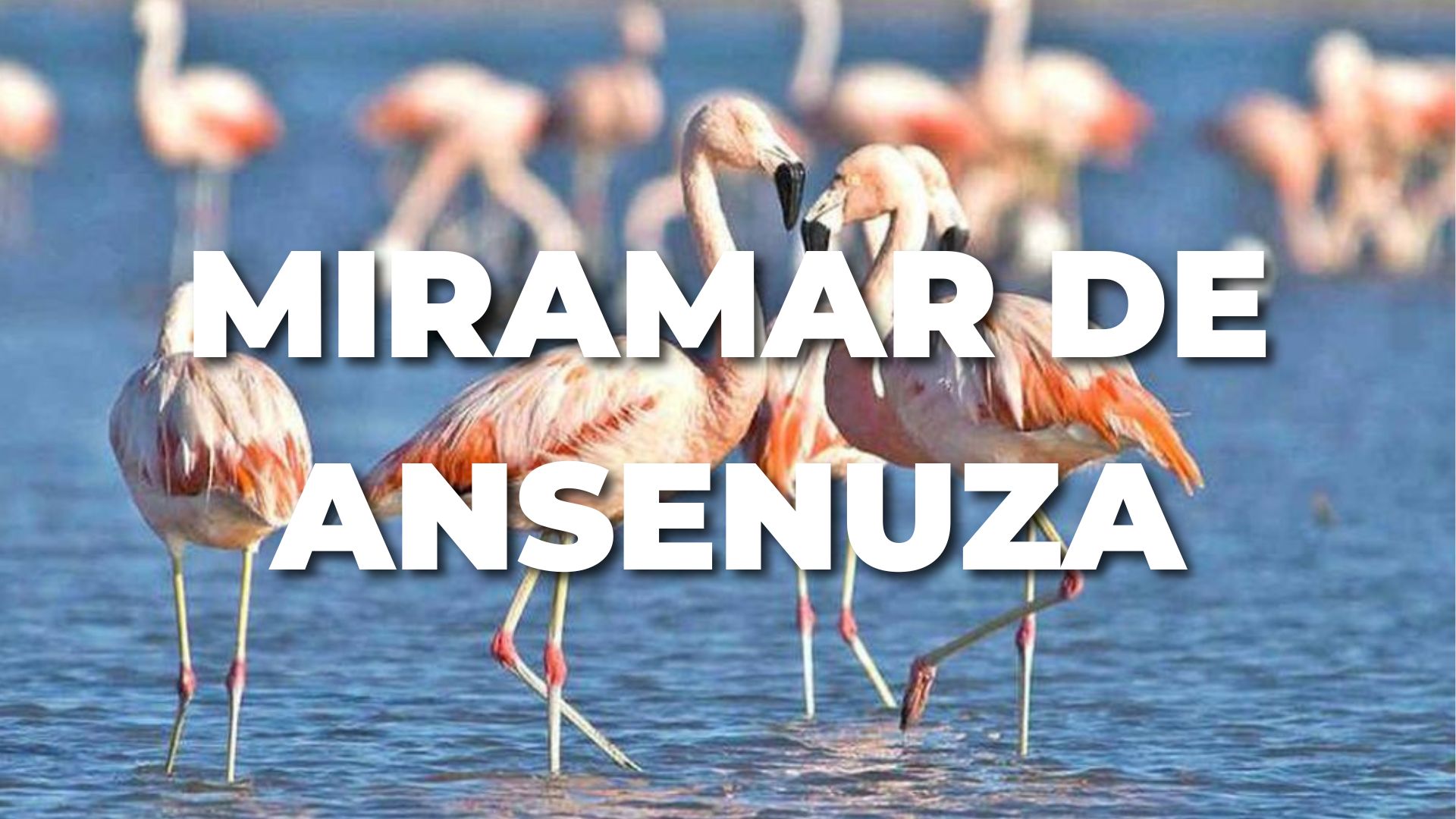 MIRAMAR DE ANSENUZA
