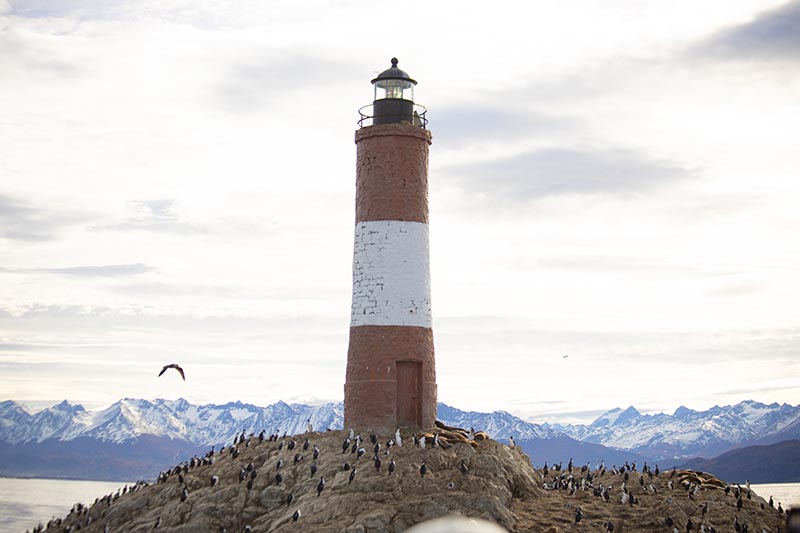 Navegación Canal Beagle - Lobos